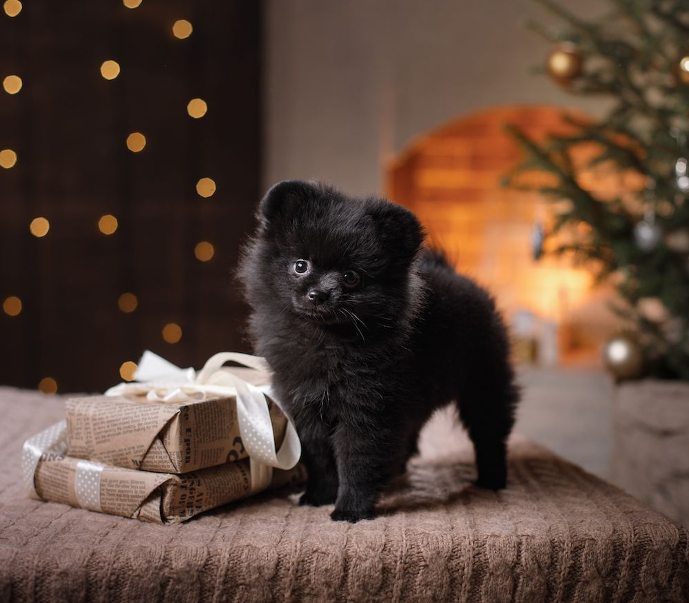 Editorial: December 16, 2022